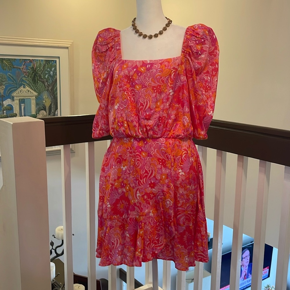 Beautiful Brand New Ted & Baker Dress with zipper in back and puff sleeves